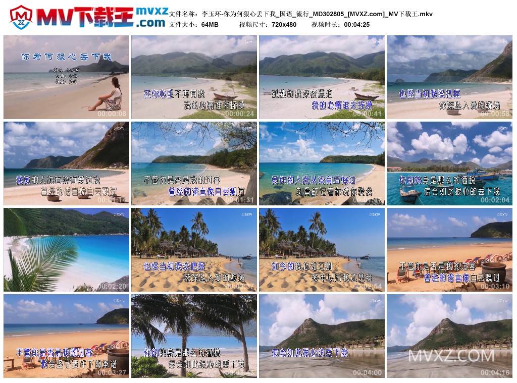 李玉环-你为何狠心丢下我_国语_流行_MD302805